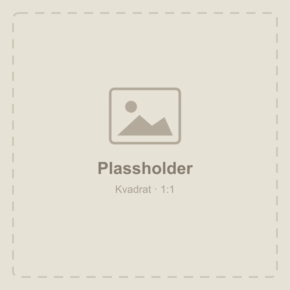Plassholder for bildebank